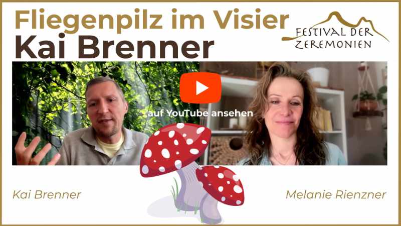 Brenner Fliegenpilz